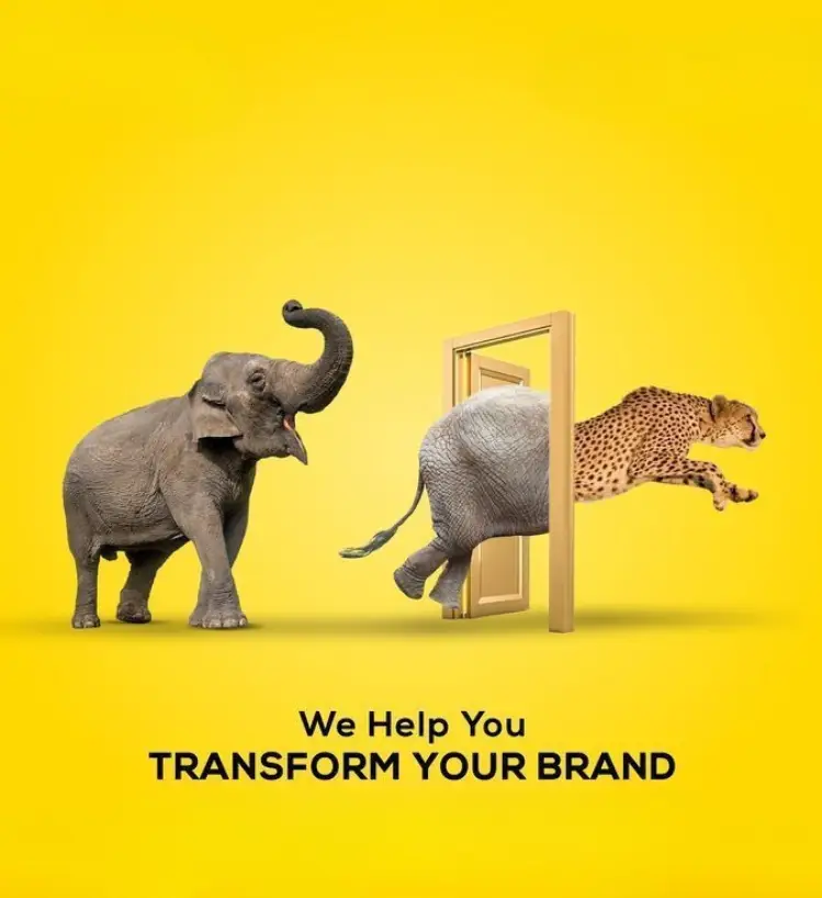 digital marketing agency